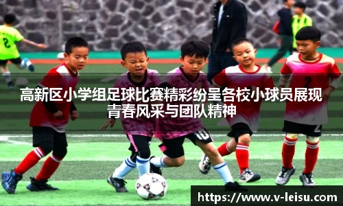 高新区小学组足球比赛精彩纷呈各校小球员展现青春风采与团队精神