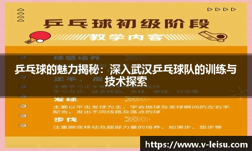 乒乓球的魅力揭秘：深入武汉乒乓球队的训练与技术探索
